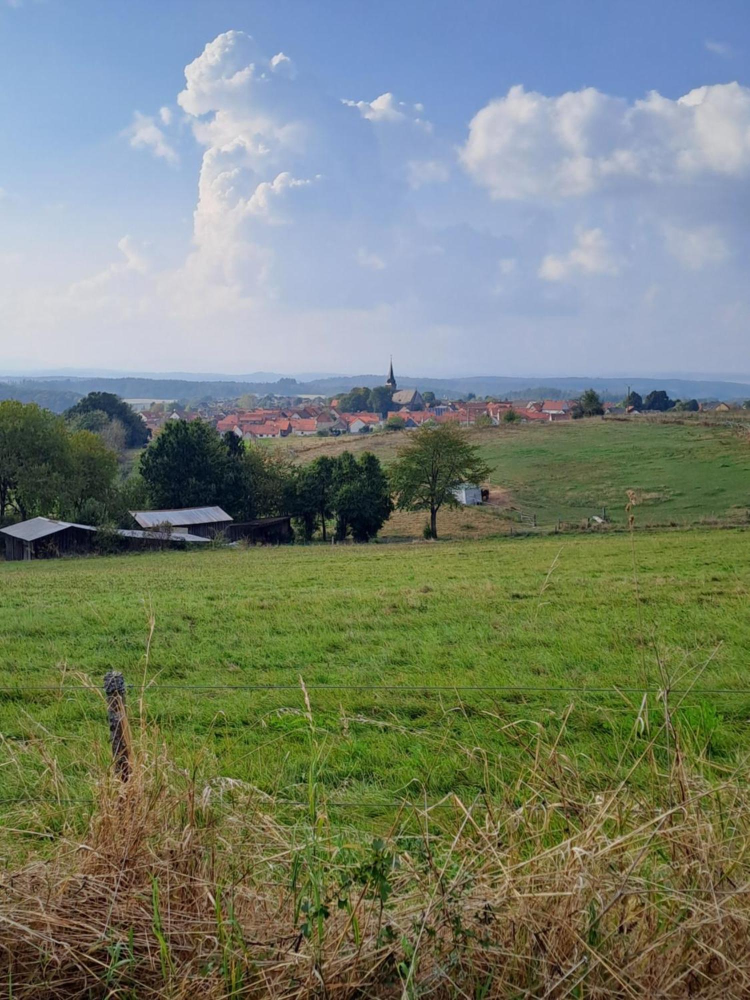 Ferienwohnung Schaefer Am Nationalpark Kellerwald Frankenau Bagian luar foto