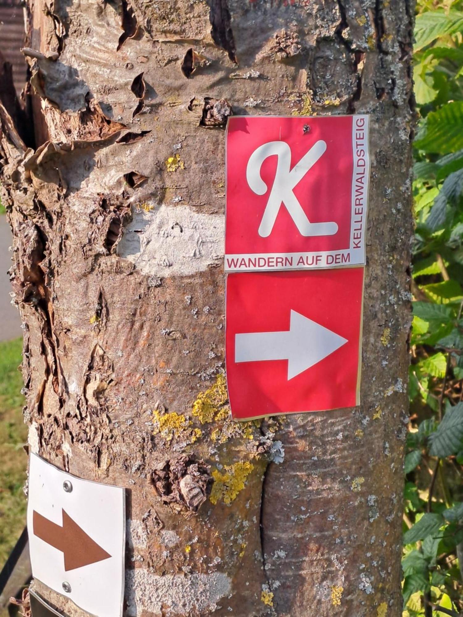 Ferienwohnung Schaefer Am Nationalpark Kellerwald Frankenau Bagian luar foto