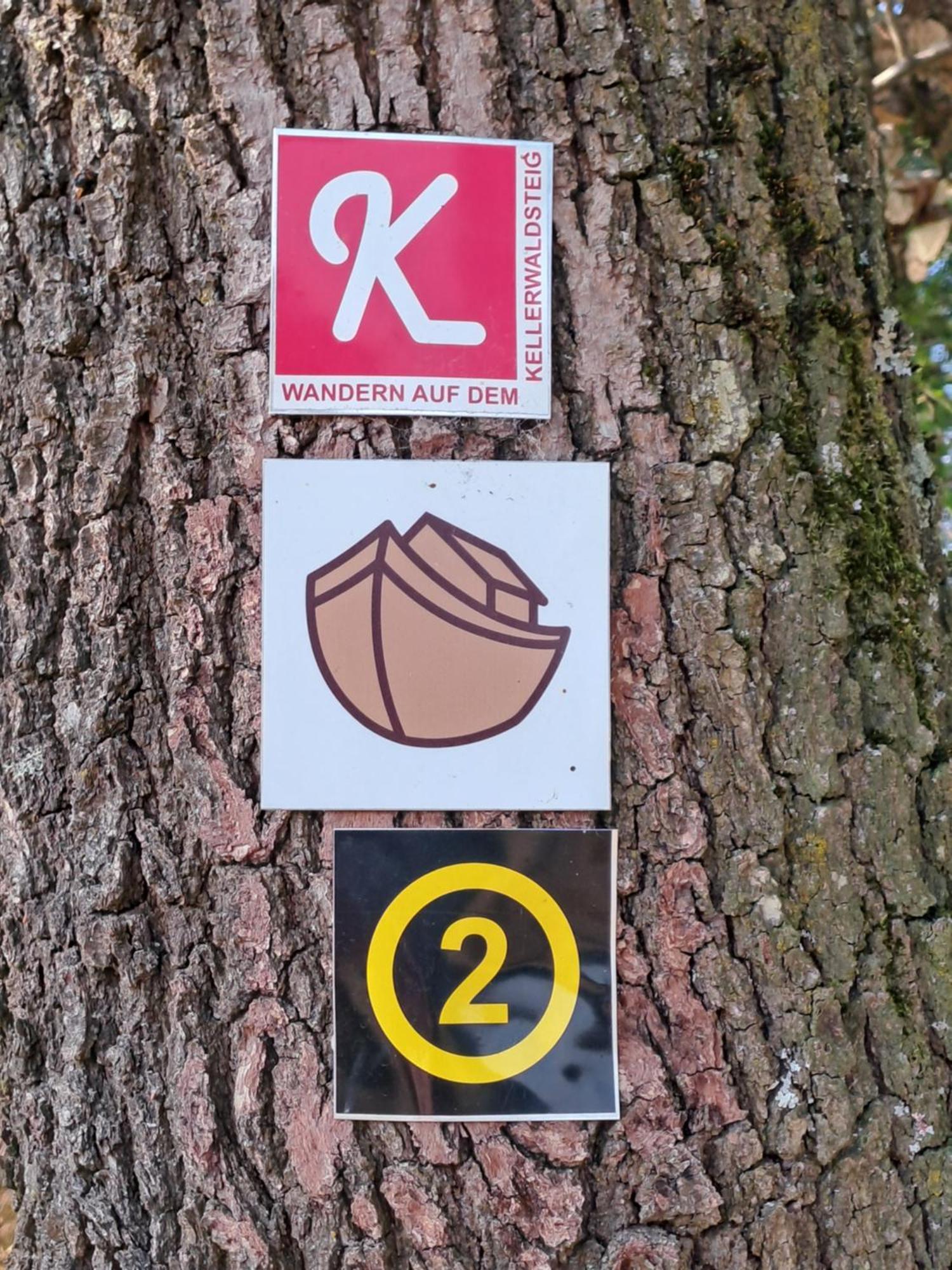 Ferienwohnung Schaefer Am Nationalpark Kellerwald Frankenau Bagian luar foto